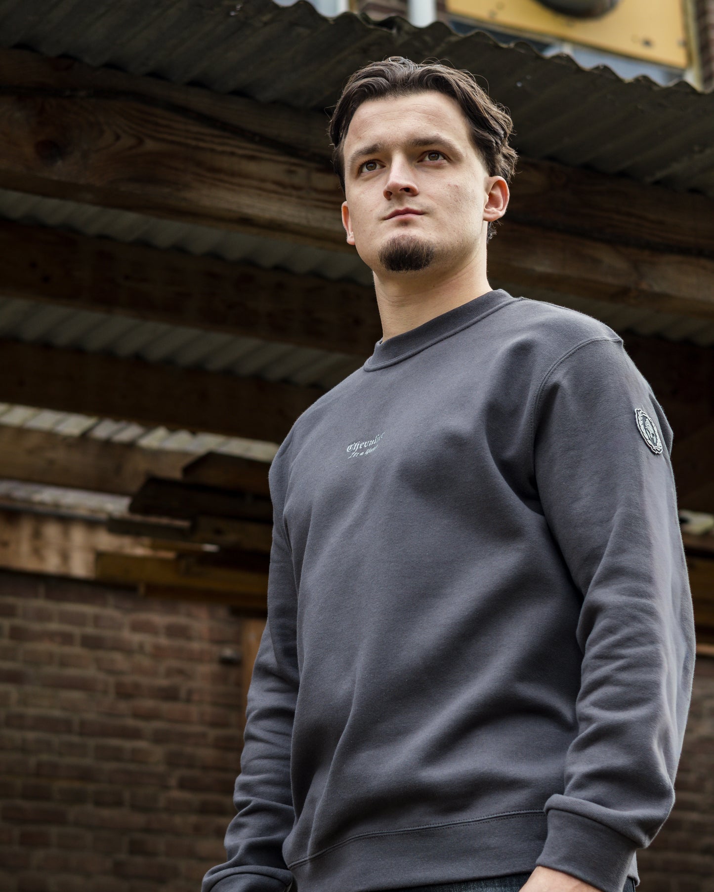 ICON SWEATER GRIJS